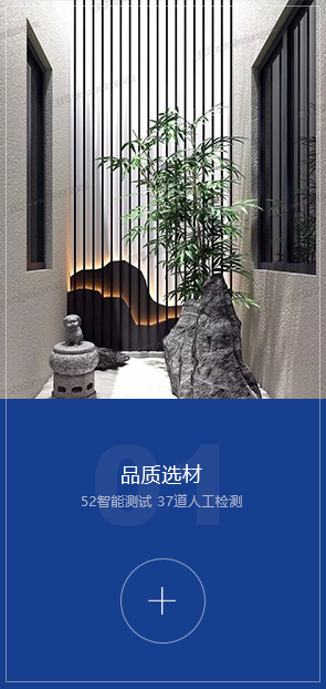 图片展示
