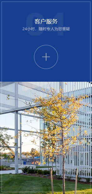 图片展示